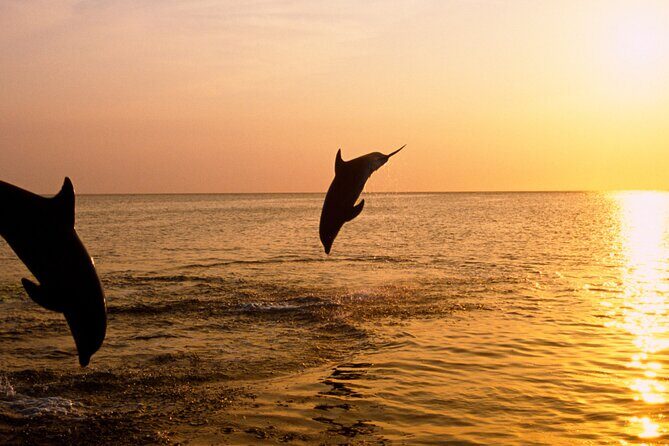 3hours all inclusive Sunset&Dolphin Tour from Medulin on Sandra - The Itinerary Breakdown: What You Can Expect
