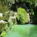 4 hour Quad & Buggy Safari Akamas(lara Bay) & Adonis Falls - Final Thoughts