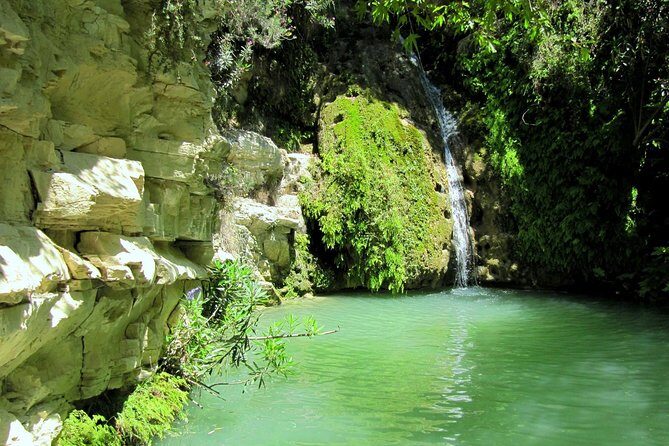 4 hour Quad & Buggy Safari Akamas(lara Bay) & Adonis Falls - Final Thoughts