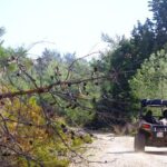 4x4 Buggy Adventures - Off-road Polaris Experience - The Vehicles and Safety Measures
