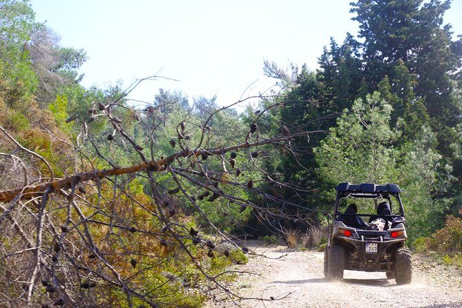 4x4 Buggy Adventures - Off-road Polaris Experience - The Vehicles and Safety Measures