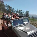 4x4 Safari Half day Poncha, Mountains, Vineyards and Cabo Girão Small group - The Off-Road Experience: What It’s Like