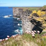 5-Day Orkney and Highlands Tour from Edinburgh - Who Will Love This Tour?