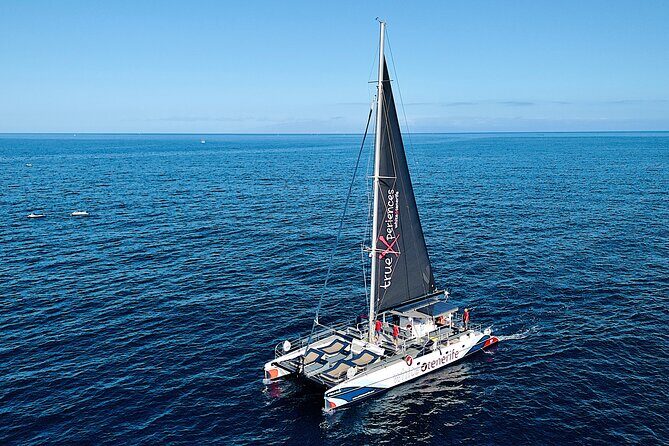 5 hrs. Watching and listening whales and dolphins visiting Los Gigantes - Who Will Love This Tour?