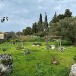 7 Hour Shared 4x4 Off Road Experience in Zakynthos - The Sum Up