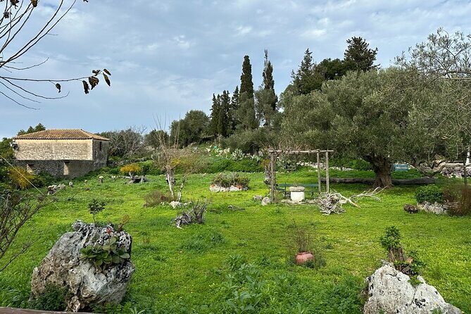 7 Hour Shared 4x4 Off Road Experience in Zakynthos - The Sum Up