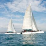A day at sea from Dénia or Jávea with Barbecue aboard the Catamaran - Authentic Insights from Guest Reviews