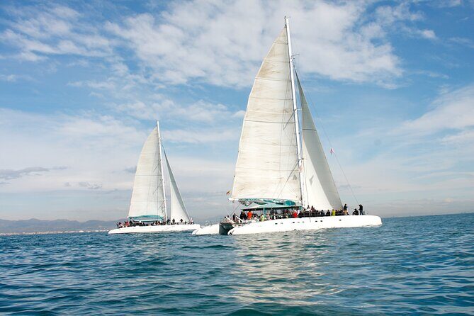 A day at sea from Dénia or Jávea with Barbecue aboard the Catamaran - Authentic Insights from Guest Reviews