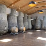 A day in Saint-Emilion in a small group (Electric Luxury Van) - Value and Overall Impression