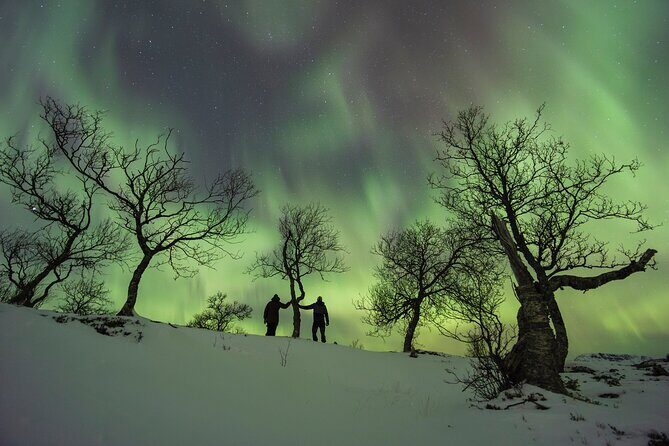 A Quest to find the Northern Lights, Tromsø (small group size) - Who Should Consider This Tour?