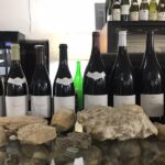 A Winey Day Out: Sauvignon Blanc Wine Tour of Sancerre and Pouilly-Fumé - The Practical Side: What Makes This Tour Stand Out