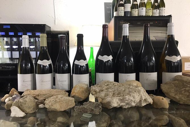 A Winey Day Out: Sauvignon Blanc Wine Tour of Sancerre and Pouilly-Fumé - The Practical Side: What Makes This Tour Stand Out