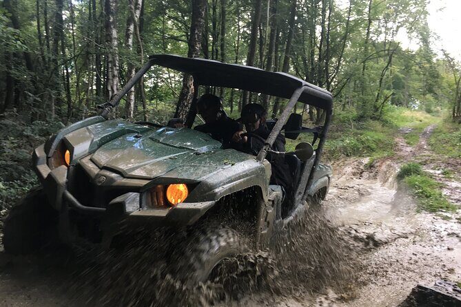 Adventure 1h with a 3-seater Buggy - Pricing and Value