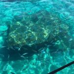 Adventure and nature! Exciting group tour by dinghy. - Experience Quality and Practicalities