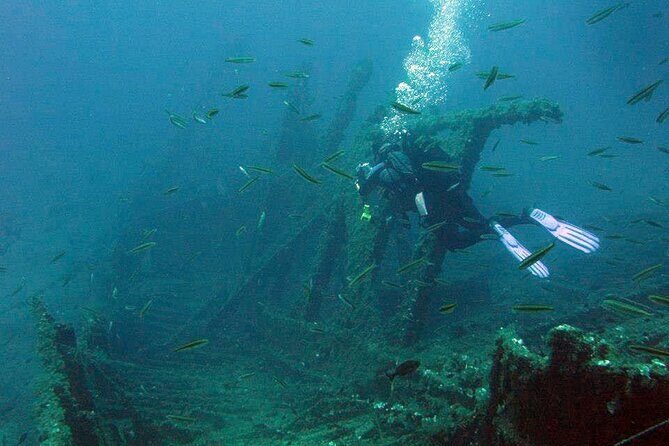 Adventure Dives for certified divers in Nea Makri, Athens - Detailed Itinerary and What to Expect