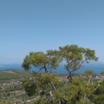 Aegina Island St Nektarios & Temple of Athina Aphaia Private Tour - Final Thoughts