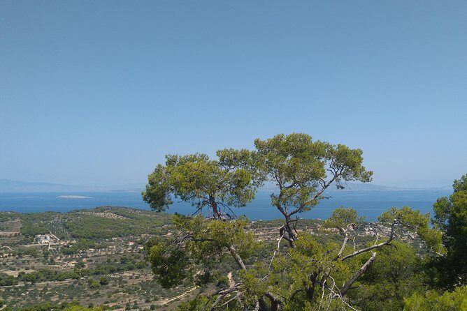 Aegina Island St Nektarios & Temple of Athina Aphaia Private Tour - Final Thoughts