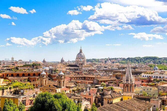 Airport Transfer: Fiumicino Airport FCO to Rome by Luxury Van - Practical Details and Considerations