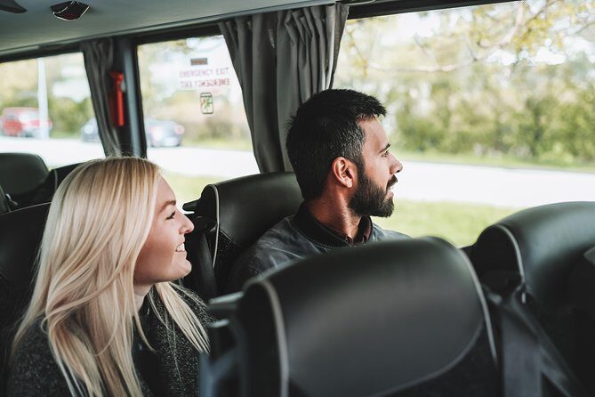 Airport Transfer in Iceland from Keflavik Airport to Reykjavik City one way - Who Is This Transfer Best For?
