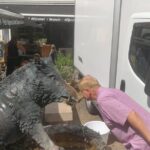Aix-en-Provence Walking Food and Culture Tour - 3 hour private tour - Why This Tour Offers Great Value