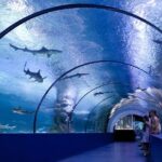 Alanya: Aquarium, Wax Museum, Snow World, Wild Park, XD Cinema - Is This Tour Worth It?