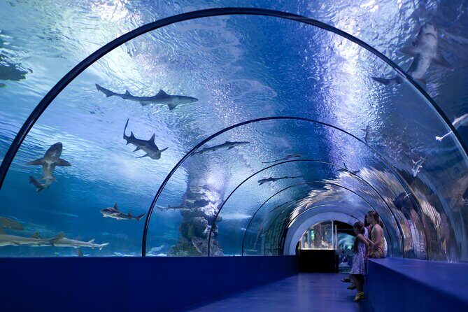 Alanya: Aquarium, Wax Museum, Snow World, Wild Park, XD Cinema - Is This Tour Worth It?