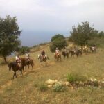 Alanya Horse Riding Experience - The Ride Through Forests & Mountain Trails
