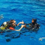 Alanya Scuba Diving with Hotel Transfer incl. Lunch - What to Expect on the Day