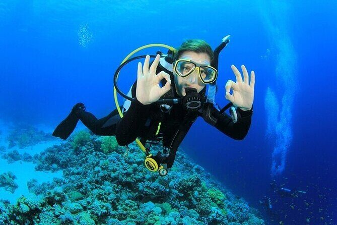 Alanya Scuba Diving With Lunch and Transfer - What the Reviews Tell Us