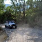 Alanya Taurus Mountains Jeep Safari & Lunch at Dimcay River - Why This Tour Is a Great Value