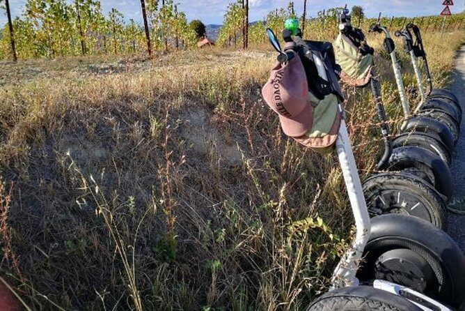 Albahills Segway Tour & Wine Tasting - The Sum Up