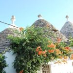 Alberobello: History Walking Tour - Visiting the Church of San Antonio