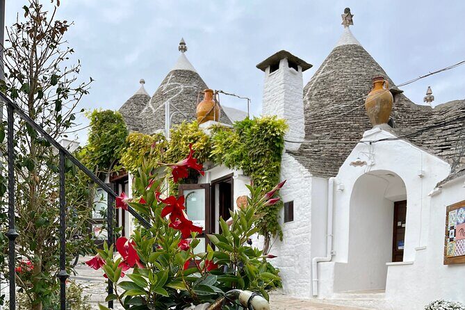 Alberobello & Matera, From Bari with Comfortable Transport - The Journey: A Deep Dive into the Experience