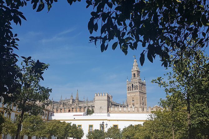 Alcazar and Cathedral of Seville Tour with Skip the Line Tickets - What Makes This Tour Stand Out