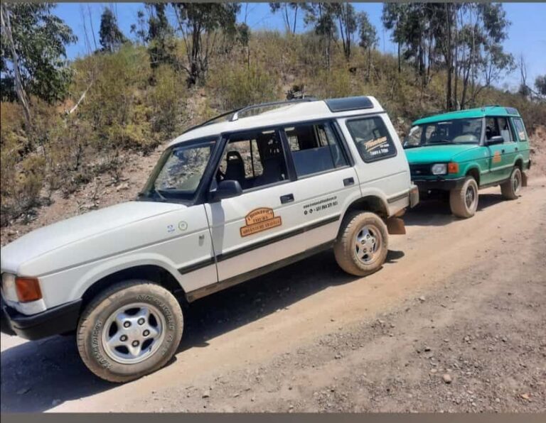 Algarve: 4x4 Safari Tour - from Coastal Wonders to Rural Treasures - The Experience We Loved and What to Consider