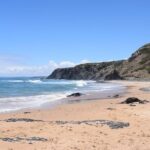 Algarve Beautiful South Coast of Portugal in a Day - Optional Add-On: Benagil Cave Boat Tour