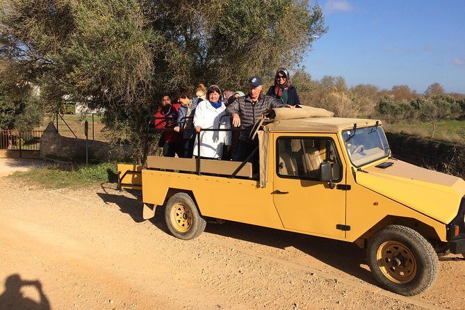 Algarve Mountains & Villages - Half Day Jeep Safari Trip - The Sum Up: Is It Worth It?