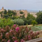 Alhambra Private Tour with Tickets to the Nasrid Palaces - The Itinerary: Breaking Down the Experience