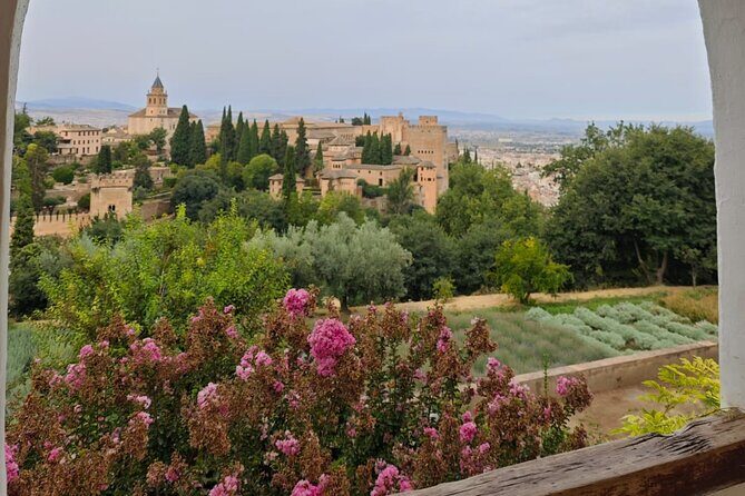 Alhambra Private Tour with Tickets to the Nasrid Palaces - The Itinerary: Breaking Down the Experience