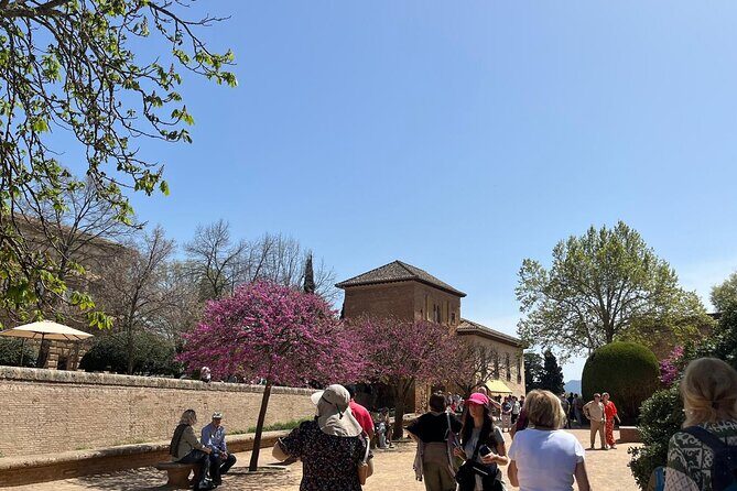 Alhambra Surroundings Guided Tour - Practical Details and What to Expect