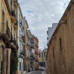 Alicante & Elche. Transport, guide and monuments. - Visiting Elche: The Oasis of the Palm Grove
