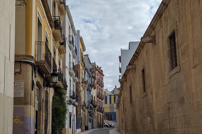 Alicante & Elche. Transport, guide and monuments. - Visiting Elche: The Oasis of the Palm Grove