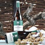 Alicante Old Winery Tour and Wine Tasting Including Transfer - Who Would Love This Tour?