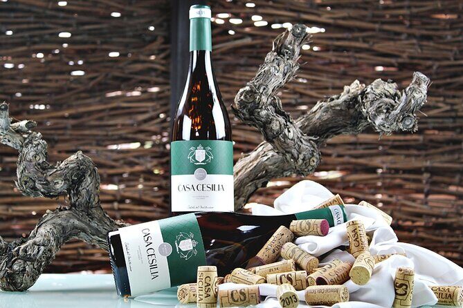 Alicante Old Winery Tour and Wine Tasting Including Transfer - Who Would Love This Tour?