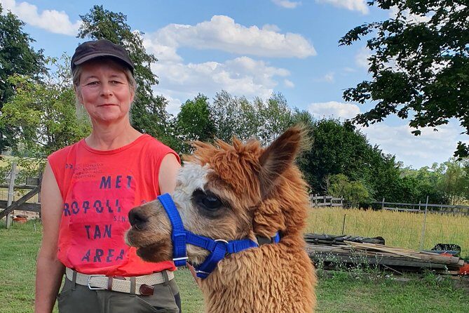Alpaca hike in the Barnimer Feldmark - Detailed itinerary and value