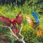 Alphen aan den Rijn: Avifauna Bird Park Entry Ticket - A Deeper Dive Into the Experience
