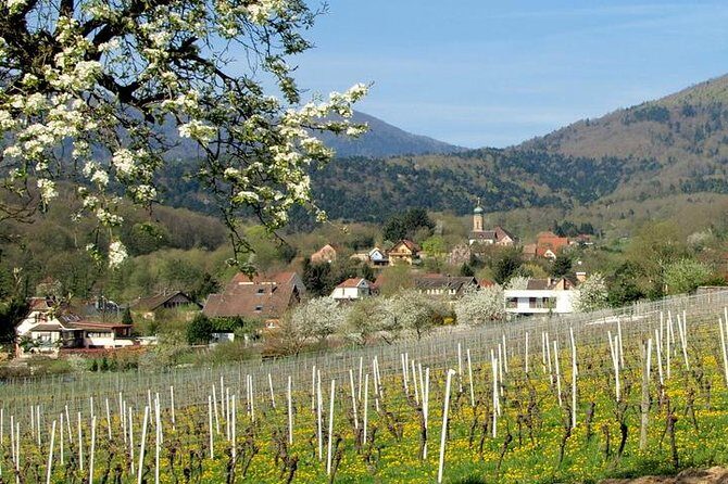 Alsace 4 Wonders Small-Group Day Trip from Colmar - The Sum Up: Is This Tour Right for You?