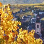 Alsace villages half day tour from Colmar - What Travelers Are Saying
