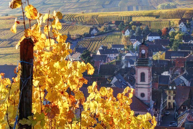 Alsace villages half day tour from Colmar - What Travelers Are Saying