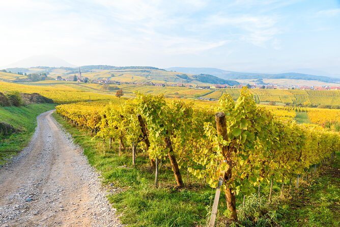 Alsace Wine Route Wineries & Tasting Small Group Guided Tour from Strasbourg - Itinerary Breakdown
